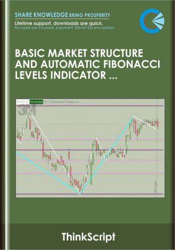 Basic Market Structure and Automatic Fibonacci Levels Indicator ThinkorSwim TOS Script – ThinkScript