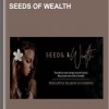 Seeds of Wealth - Alpha Femm