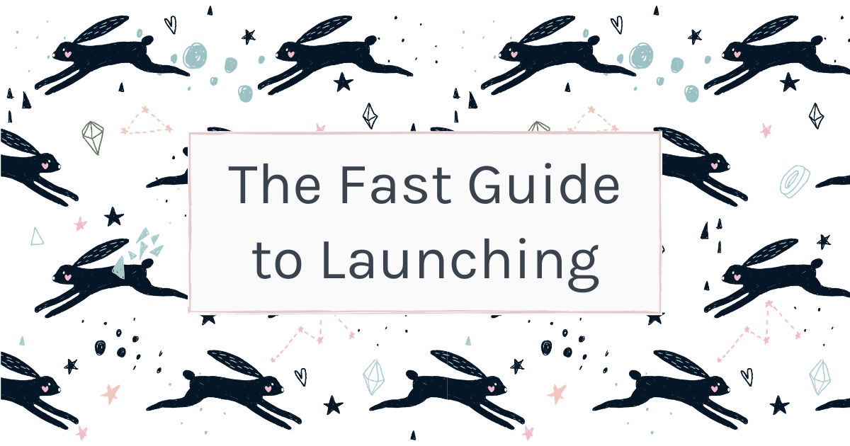 The Fast Guide to Launching - Elizabeth Goddard 