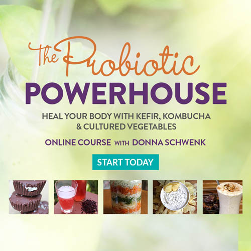 The Probiotic Powerhouse - Donna Schwenk