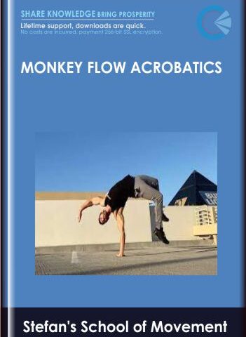 Monkey Flow Acrobatics – Stefan’s School Of Movement