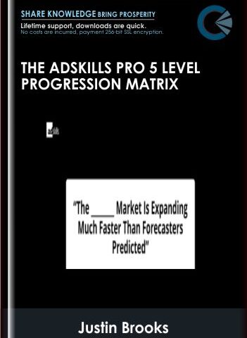 The AdSkills Pro 5 Level Progression Matrix – Justin Brooks (AdSkills)