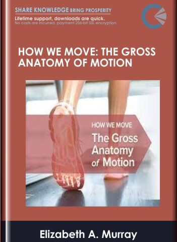 How We Move: The Gross Anatomy Of Motion – TGC- Elizabeth A. Murray, PhD