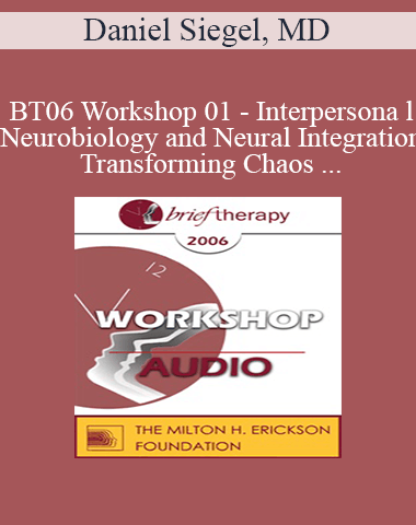 [Audio Only] BT06 Workshop 01 – Interpersonal Neurobiology And Neural Integration – Transforming Chaos And Rigidity Into Coherence: Defining The Mind And Well-Being – Daniel Siegel, MD