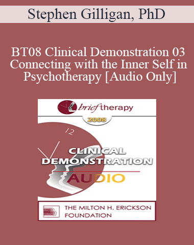 [Audio Only] BT08 Clinical Demonstration 03 – Connecting With The Inner Self In Psychotherapy – Stephen Gilligan, PhD