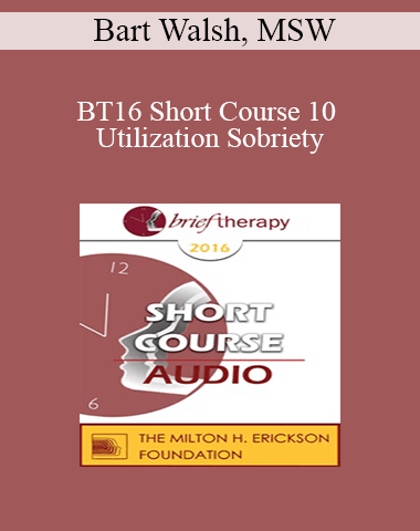[Audio] BT16 Short Course 10 – Utilization Sobriety: Incorporating The Essence Of Mind-Body Communication For Brief Individualized Substance Abuse Treatment – Bart Walsh, MSW