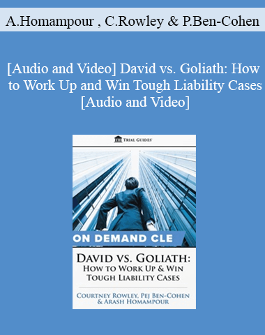 Trial Guides – David Vs. Goliath: How To Work Up And Win Tough Liability Cases