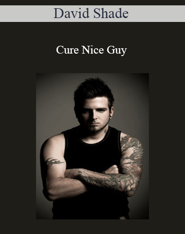 David Shade – Cure Nice Guy