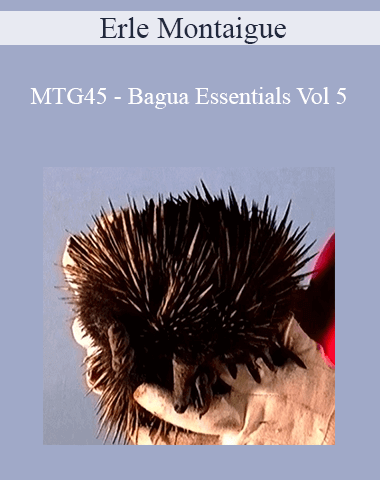 Erle Montaigue – MTG45 – Bagua Essentials Vol 5