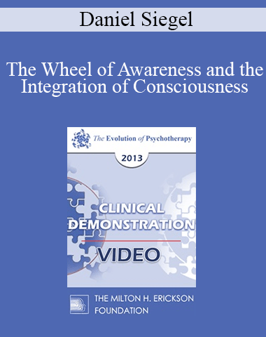 EP13 Clinical Demonstration 02 – The Wheel Of Awareness And The Integration Of Consciousness (Live) – Daniel Siegel, MD