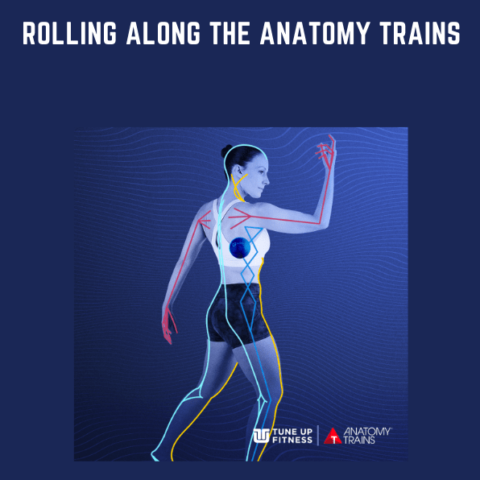 Rolling Along The Anatomy Trains  –  Tom Myers And Jill Miller