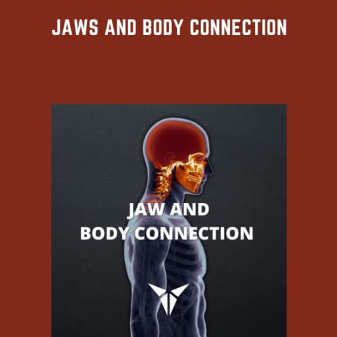 Jaws And Body Connection  –  Posturepro