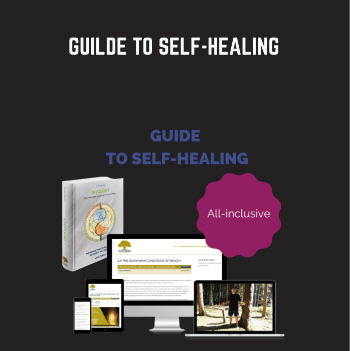 Guilde To Self-Healing - Vivotera