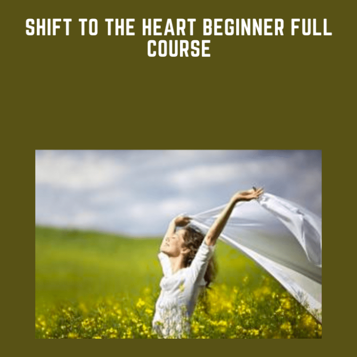 Shift to the Heart Beginner Full Course  -  HeartMastery