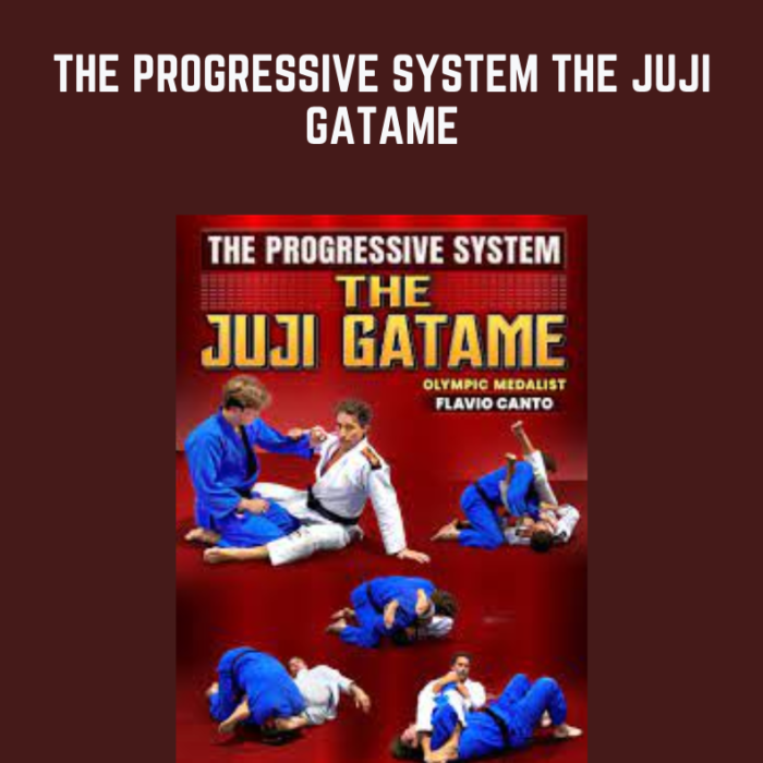 The Progressive System The Juji Gatame - Flavio Canto - $29