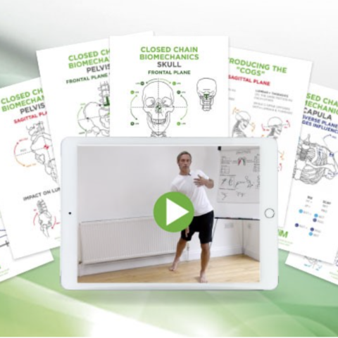 Available Only $59, Biomechanics Of The Upper Body In Motion 2023 – Gary Ward Course